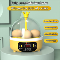Couveuse à poussins domestique compacte, mini-incubateur intelligent entièrement automatique pour enfants, taux d'éclosion de 97%, transparente