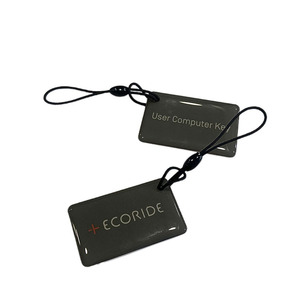 Design gratuito personalizzato 13.56MHz NFC Mini chiave epossidica Tag RFID per <span class=keywords><strong>pass</strong></span> di sicurezza per affari <span class=keywords><strong>e</strong></span> abbonamento - Product Image 2