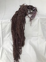 Natürlich Konservierte Amaranth-Hängeblumenstiele Getrocknete Botanische Sprühe für Hochzeits- und Eventdekoration