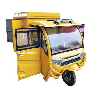 Best Selling New Type Express Delivery Electric Adult Tricycle Electric Passenger Closed Tricycles Moped Cargo