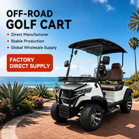 Voiturette de golf longue portée 2 places électrique 48V 72V 3000W, véhicule utilitaire pour navette de plage et de sites touristiques