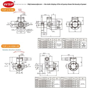 Venta Directa de Fábrica: Bomba de Engranajes Cicloidal TOP-210/212/216HBM-VB para Aceite Lubricante de Máquinas de Conformado en Frío, Fabricada en Shenzhen, China, Alta Eficiencia - Product Image 5