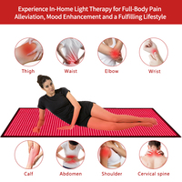 Selimut Terapi Cahaya Merah Inframerah Dekat LED REDSKY untuk Penggunaan di Rumah, Matras Yoga, 660Nm 850Nm untuk Tubuh