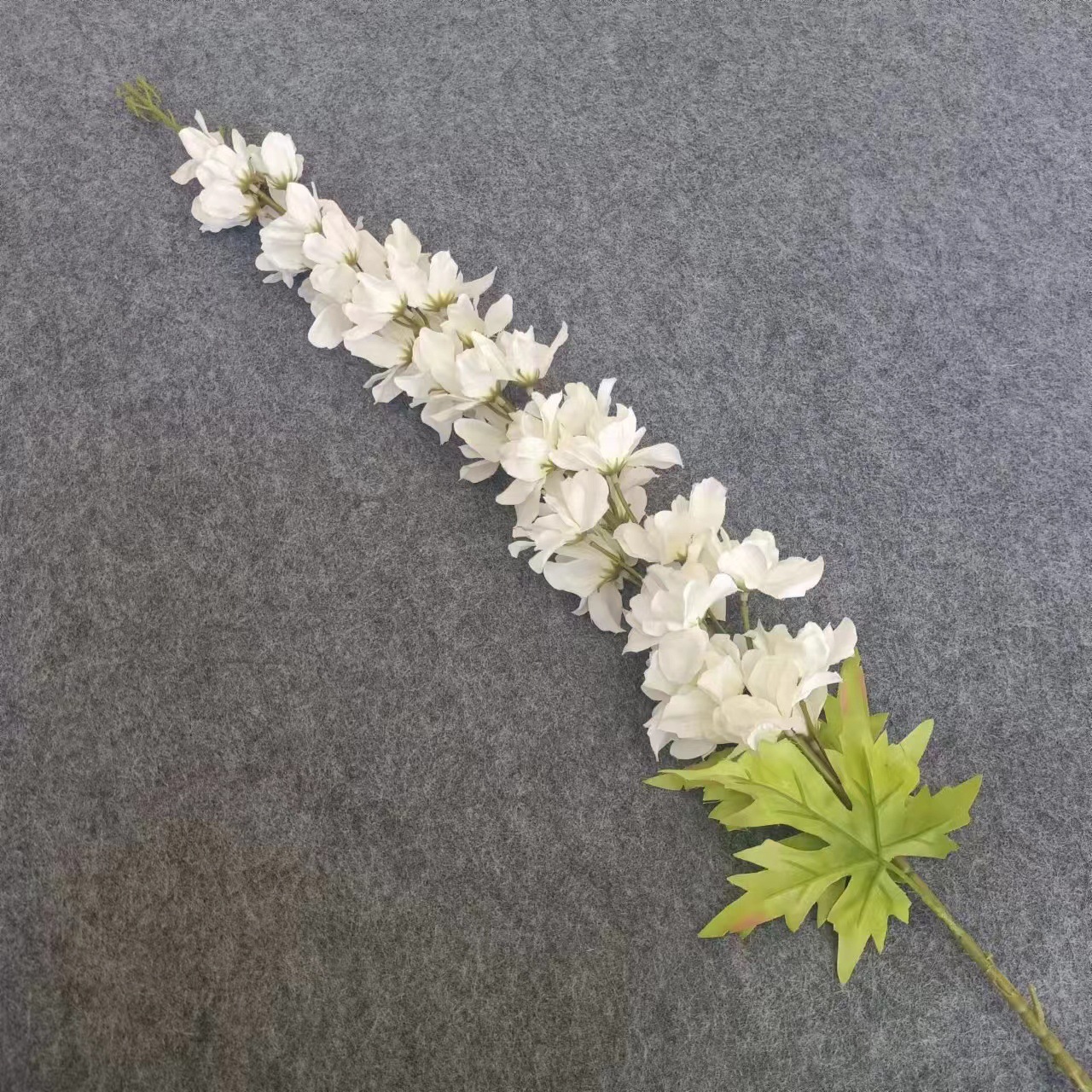 ขาว