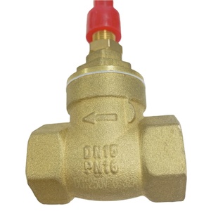 <span class=keywords><strong>Sensor</strong></span> do fluxo magnético do interruptor 220V da água do bronze DN25 para o controle líquido industrial - Product Image 4