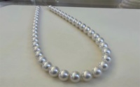 Collier de perles de haute qualité, diamètre 10-12 mm, parfaitement rondes, avec de petits défauts, perles Edison provenant d'huîtres.