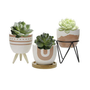 Decorazioni per la casa <span class=keywords><strong>Mini</strong></span> ceramica di alta qualità in vaso con piccole <span class=keywords><strong>piante</strong></span> artificiali succulente - Product Image 2