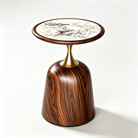 Table basse carrée moderne Tenghang en bois massif avec étagère inférieure pour salon, chambre à coucher, petit espace de rangement