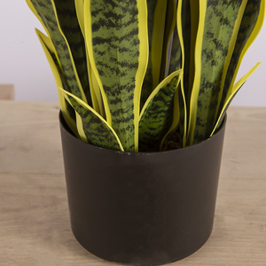Plantas Artificiales de 65 cm, Plantas <span class=keywords><strong>Serpiente</strong></span> Artificiales, Plantas de Plástico con Borde Amarillo para Decoración del Hogar y Fiestas - Product Image 5