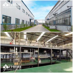 Carboxymethyl chitosan hemostatic granles สารห้ามเลือดห้ามเลือดอย่างรวดเร็ววัตถุดิบ - Product Image 6