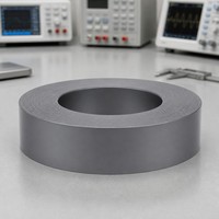 Noyau toroïdal sur mesure à faible vibration en acier au silicium pour transformateur audio Hi-Fi