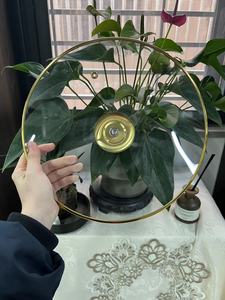 Chất Lượng Cao G Loại Vàng Rim Tempered Glass Có Nắp Đậy Bìa Chảo Nắp Với Núm Thép Không Gỉ Cho Nấu Ăn Nồi - Product Image 4