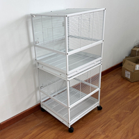 Fournitures pour animaux de compagnie, cage moderne classique en acier inoxydable et en verre de qualité supérieure, facile à nettoyer, robuste et durable pour les pigeons, les perroquets, les oiseaux de petite taille