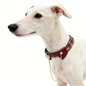 Coleiras, Guias e Peitorais de Couro Macio de Luxo e Fofos para Cães (Tamanhos P, M, G, GG, XGG) - Fabricante de Suprimentos Personalizados para Animais de Estimação - Product Image 4