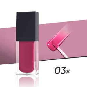 OEM hidratante impermeable Etiqueta Privada brillante vegano orgánico natural al por mayor logotipo personalizado de larga duración aceite labial orgánico Plumer - Product Image 5