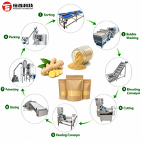 Gemberpoeder productielijn maalmachine poeder gember schilmachine specerijenpoeder productielijn