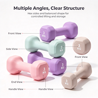 Haltères hexagonaux Macaron pour l'aérobic en intérieur, équipement de fitness pour femmes débutantes, perte de graisse, mise en forme, entraînement de force, petits haltères