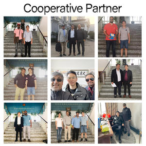 Deniz aslanı çamaşır makinesi otel veya hastane için - Product Image 5