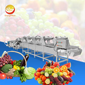 Chaîne de production ORME pour le nettoyage, le séchage et le traitement des fruits et légumes, machine de lavage et d'emballage des carottes - Product Image 1