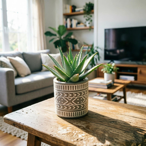 Vente chaude 2026 : Pots à fleurs en ciment gris à motif bohème <span class=keywords><strong>pour</strong></span> la décoration intérieure et extérieure, jardin, balcon - Product Image 5