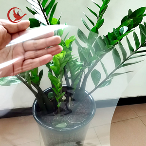 Nastro <span class=keywords><strong>biadesivo</strong></span> Ultra <span class=keywords><strong>trasparente</strong></span> resistente alle alte Temperature per animali domestici adesivo acrilico facile da strappare ad alta viscosità per la mascheratura - Product Image 2