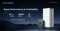 Système de stockage d'énergie solaire Dyness à haute tension avec batterie au lithium LiFePO4, capacités 5kWh, 10kWh, 15kWh, 20kWh, 30kWh, 60kWh