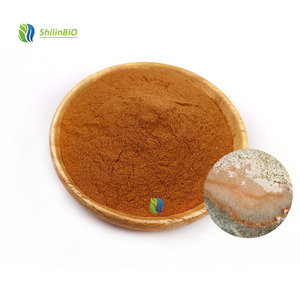 SLBIO fournit de la poudre de Dunaliella Salina de qualité alimentaire, extrait de Dunaliella Salina à 2%, 3%, 5%, 8% de bêta-carotène - Product Image 3