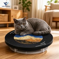 Planche à gratter pour chat en carton ondulé, forme de disque vinyle, sans débris, écologique pour les chats