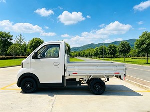 Mini Camión de Venta Móvil Multiusos <span class=keywords><strong>Paidi</strong></span> EV para Negocios de Café y Helados - Product Image 4