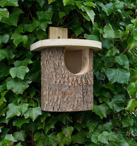 Nichoir rustique FSC pour oiseaux, maison suspendue, résistant aux intempéries, idéal pour toute taille, jardin, extérieur, arbre, nichoir en bois - Product Image 4