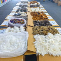 Plumes de coq rouges Schlappen à double couture de 4 à 6 pouces |   Plumes naturelles pour la fabrication de mouches, pêche à la mouche en montagne