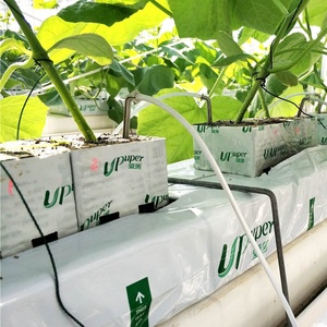 UPuper agricultural irrigation&hydroponics equipment 4x4x4 inch grow blocks hydroponic rock wool cubes