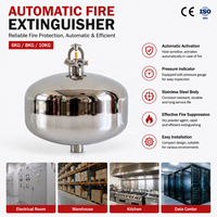 Extincteurs automatiques personnalisables en acier inoxydable SUS304, extincteurs suspendus au plafond, 6L 9L 12L 15L 20L