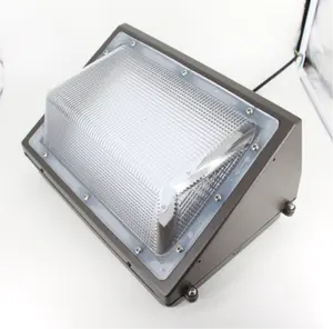 30W 40W 60W 80W 100W 120W LED Light Outdoor Wall Pack Lights 100-277V For Walkway Outdoor LED Light