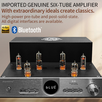 Amplificateur à Tube à Vide Triode Haute Puissance TB Multifonctionnel HIFI Audio Domestique avec Système Audio Coaxial à Fibre Optique
