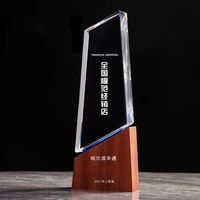 Trophée en bois et cristal personnalisé avec logo, idéal pour les souvenirs, vente en gros