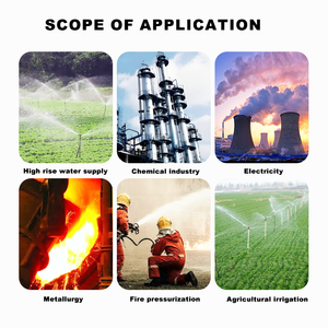 Bomba de <span class=keywords><strong>Agua</strong></span> Centrífuga Horizontal Personalizable, Resistente a la Corrosión, de Una Etapa, para Tuberías, para Suministro de <span class=keywords><strong>Agua</strong></span> Contra Incendios - Product Image 6