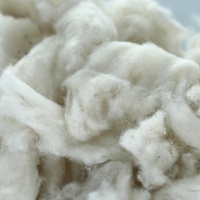 Factory Price Carded Cashmere 100% Sheep Wool Fiber for Spinning Yarn in Stock Good Sheep Wool Cashmere Fiber Scoure