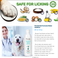 Baume pour pattes et soins dentaires pour chat, shampoing écologique et durable pour petits animaux – Prix usine OEM/ODM sous marque privée