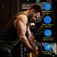 AegleWell Creatine Lollipop |   300g (30 stuks) Voedselkwaliteit Pre-Workout Spierherstel Uithoudingsvermogen Trainingsprestatie