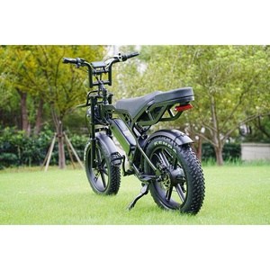 Bicicleta Eléctrica OEM Zerogo Dirt E Bike Fido C11 Fatbike Mini V20 Ebike Frame E Dirt para Adultos, Almacén en el Extranjero, V20Pro para Niños, Vtt Bici V20Pro Ki - Product Image 3