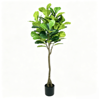 Pohon Fiddle Leaf Fig dengan Detail Bunga yang Konsisten Memberikan Tampilan Terpadu di Berbagai Lokasi Proyek