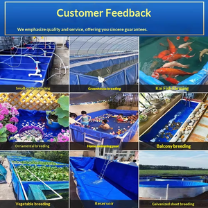 Bassin carré hors sol 10000L pour l'élevage de poissons (silure, tilapia), crevettes et aquaculture en jardin - Product Image 6