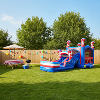 Toboggan aquatique gonflable commercial WINSUN, prêt à être expédié depuis l'entrepôt américain, avec drapeau américain, combo toboggan et piscine gonflables.