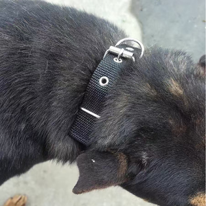 1 inch <strong>nylon</strong> adjustable Red Black <strong>collar</strong> meaning space <strong>collar</strong> <strong>dog</strong> led vest new solid long purse strap <strong>dog</strong> <strong>collar</strong> - Product Image 3