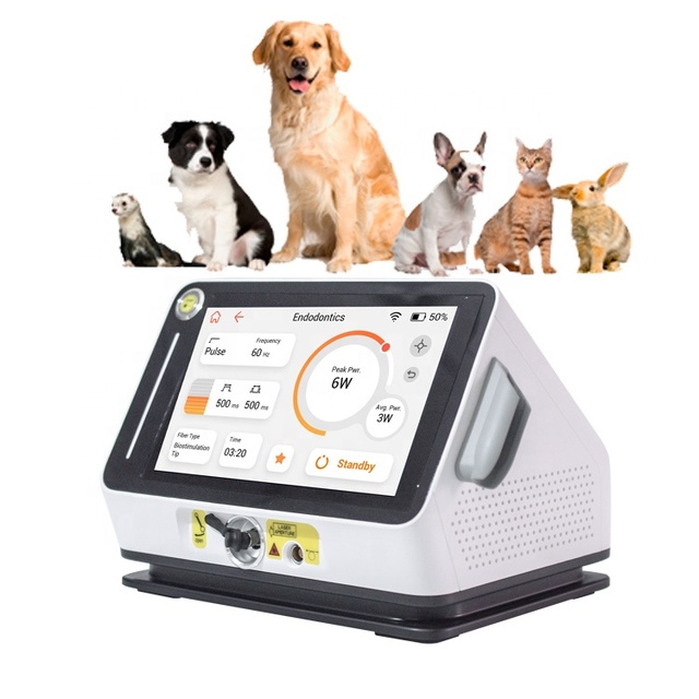 Class IV Physical Therapy Equipment Veterinary Laser for Horse and Dog