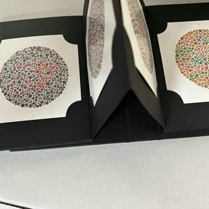 Tableau d'examen d'optométrie, 38 plaques, livre de test de vision couleur pour les soins oculaires et l'évaluation de l'acuité visuelle - Product Image 5