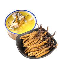 Cordyceps de alta calidad Cordyceps liofilizado Cordyceps militaris cordiceps Cordyceps sinensis