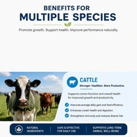 Poudre de Probiotiques pour l'Acidose du Rumen chez les Bovins et les Ovins – Améliore le FCR, Favorise l'Utilisation des Aliments, Anti-diarrhéique – 10kg/sac – Complément Alimentaire