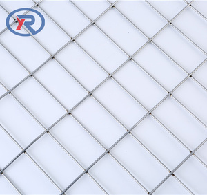 Galvanized 2mm Welded Wire <strong>Mesh</strong> Roll for Fencing Farm Field/PVC Coated Welded Wire <strong>Mesh</strong> Roll Anti Rust <strong>Garden</strong> Fence Barrier <strong>Mesh</strong> - Product Image 4